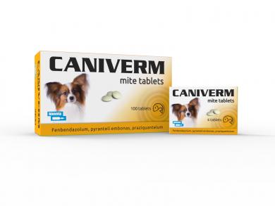 Vermifugo per Gatti e per Cani in Gocce 120ml - Sverminatore per Gatti e  Cani - Vermifugo Naturale Estratto di 7 Oli, Vermifugo per Cani e Gatti